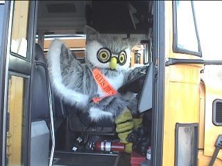 Elvis the Safety Owl